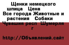 Щенки немецкого шпица › Цена ­ 20 000 - Все города Животные и растения » Собаки   . Чувашия респ.,Шумерля г.